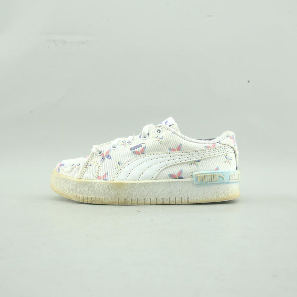 Puma Summits