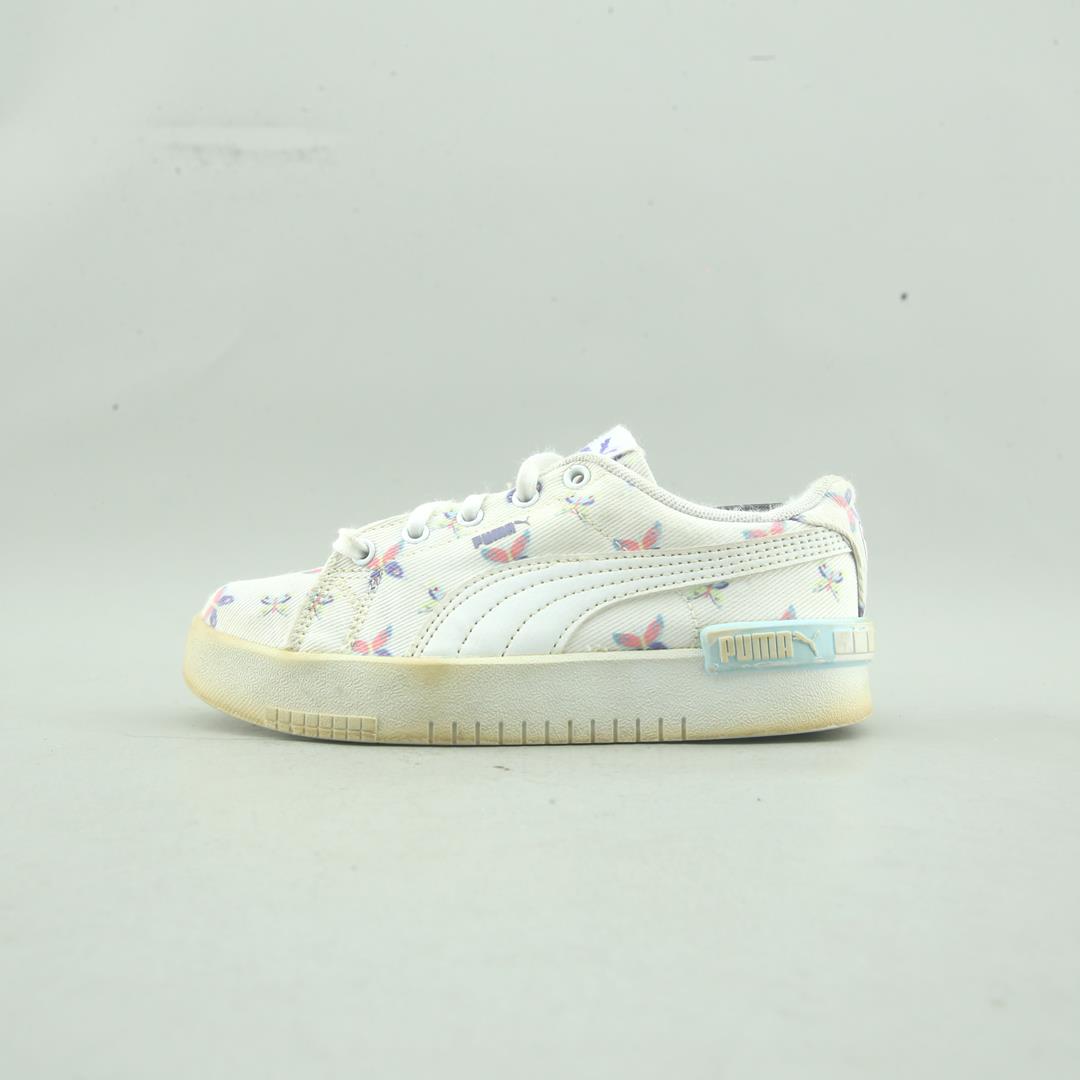 Puma Summits