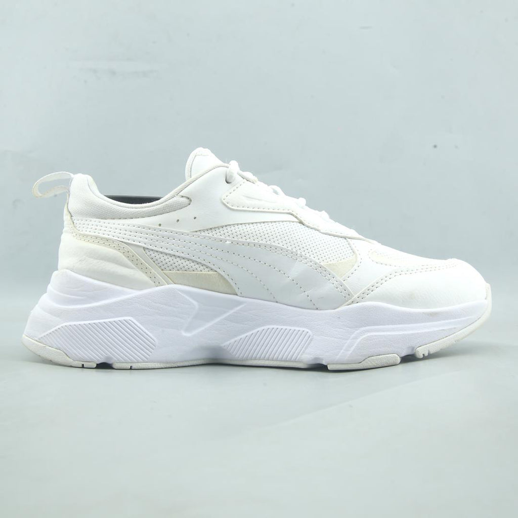 Puma Cassia