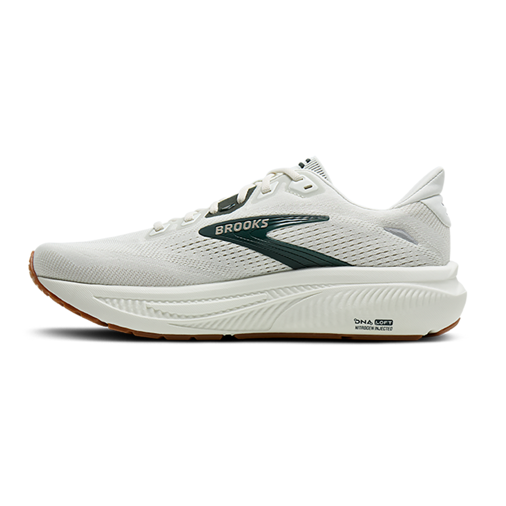 Brooks Ghost 18