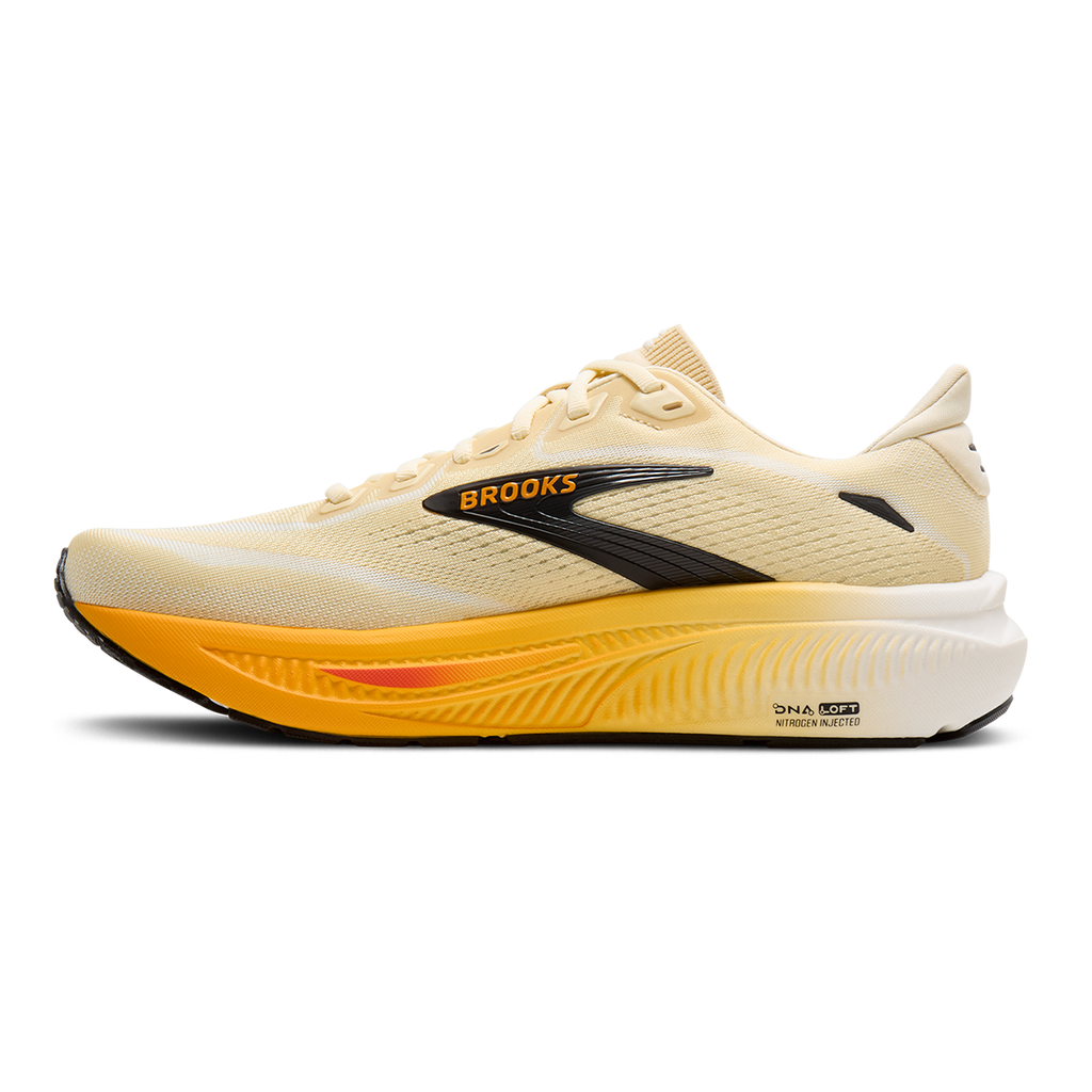 Brooks Ghost 18