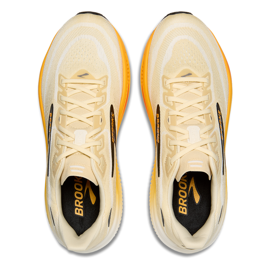 Brooks Ghost 18