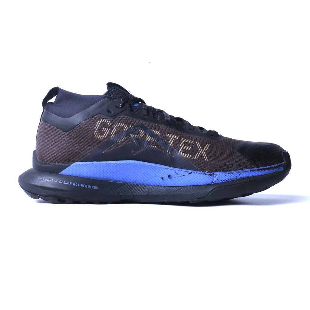 Nike Pegasus Trail 4 Gore-Tex