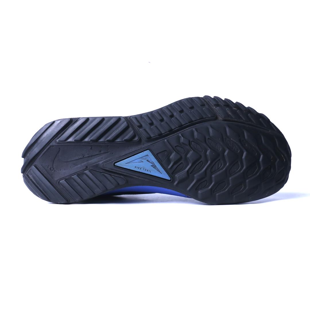 Nike Pegasus Trail 4 Gore-Tex