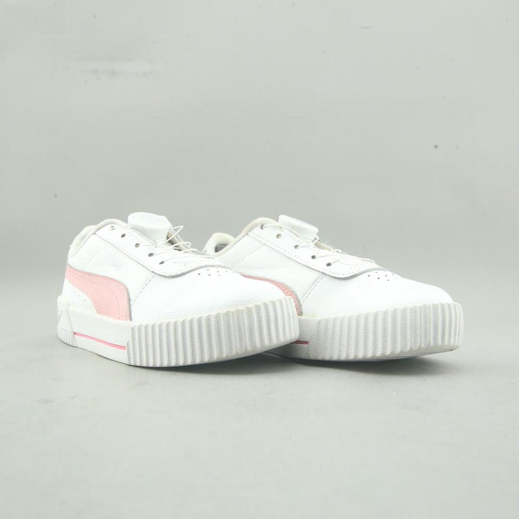 Puma Carina L