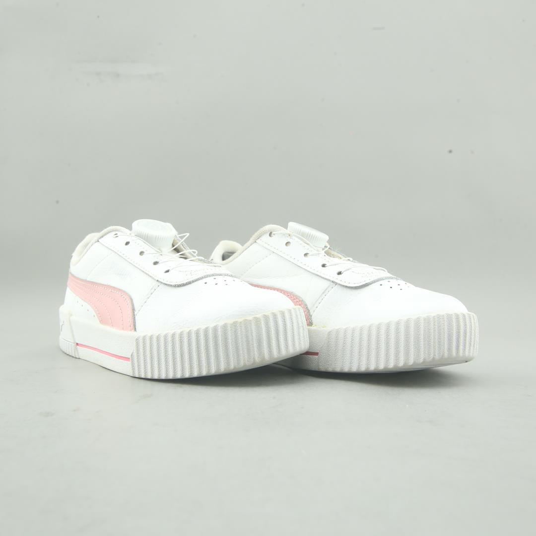 Puma Carina L
