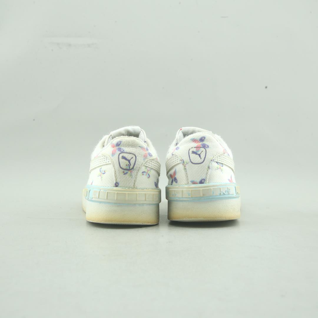 Puma Summits