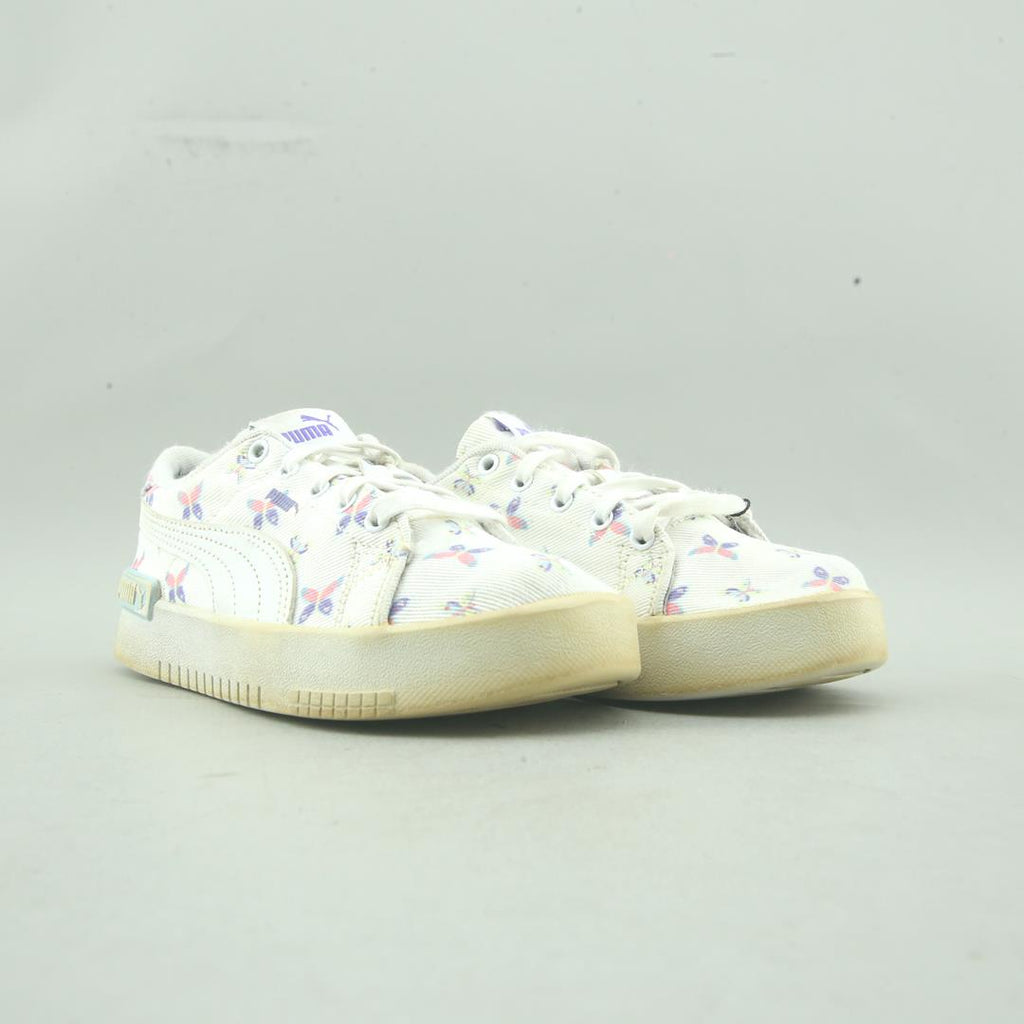 Puma Summits
