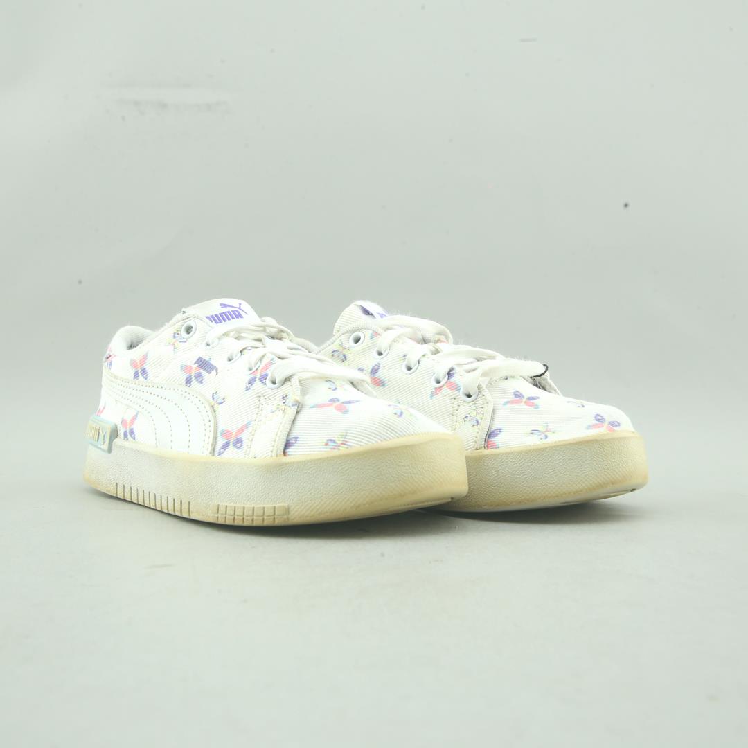 Puma Summits