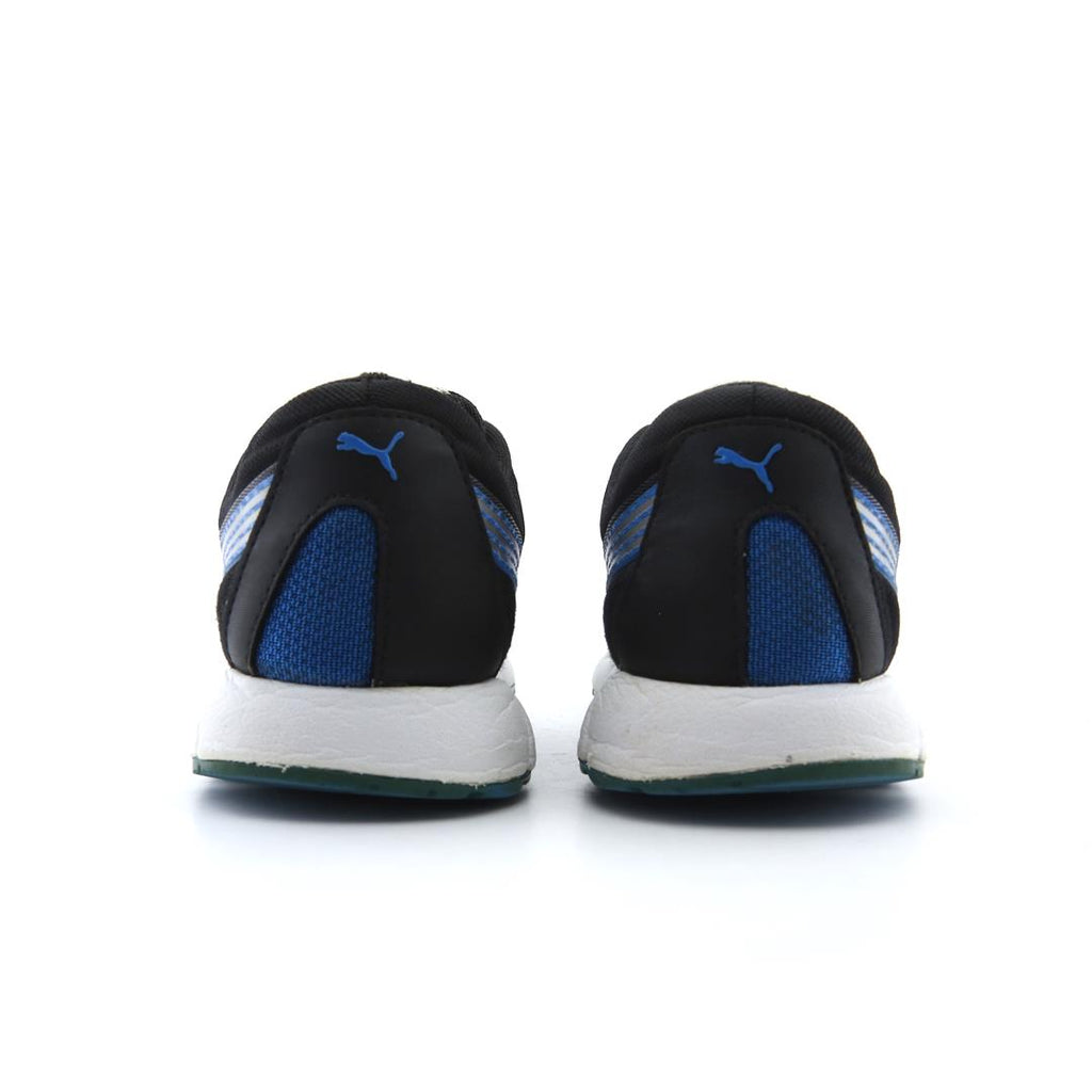 Puma Osuran