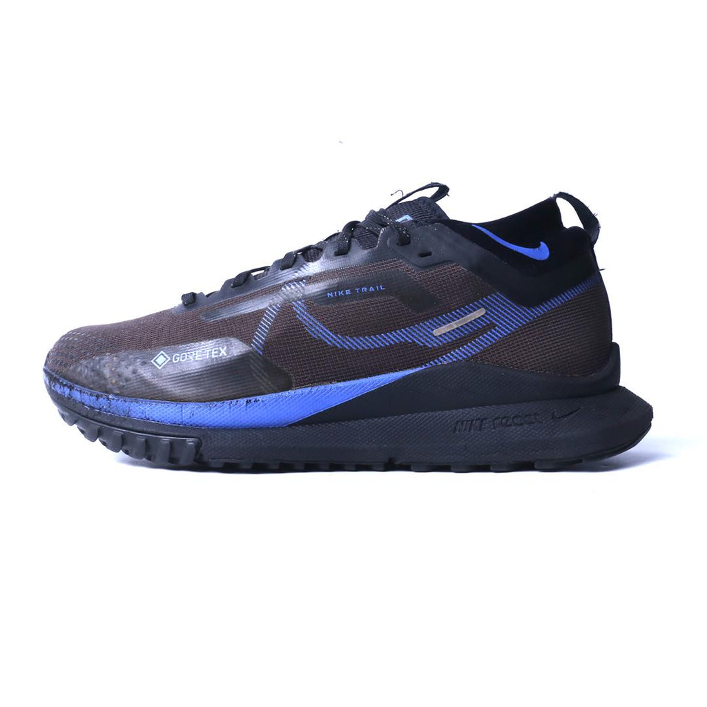 Nike Pegasus Trail 4 Gore-Tex