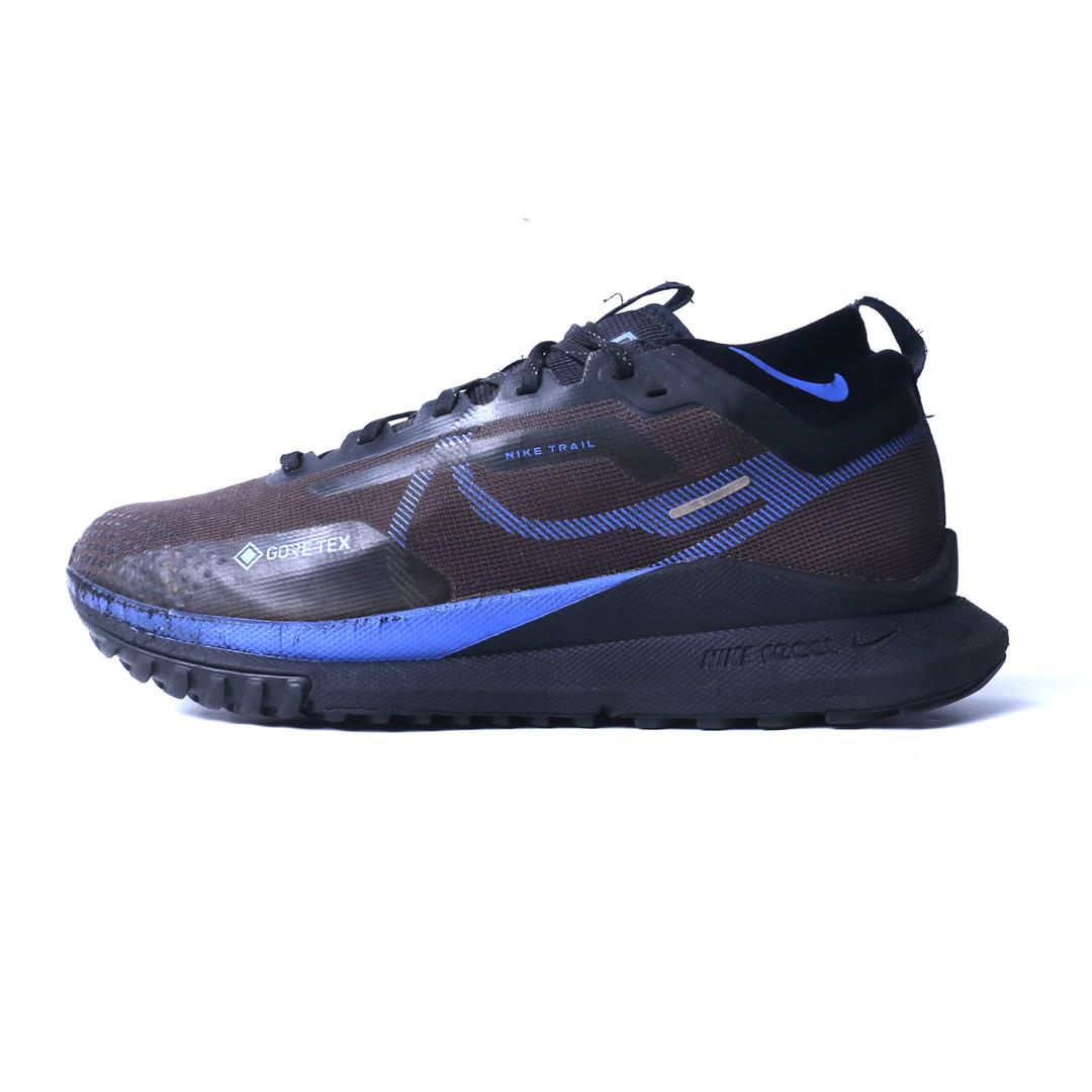 Nike Pegasus Trail 4 Gore-Tex