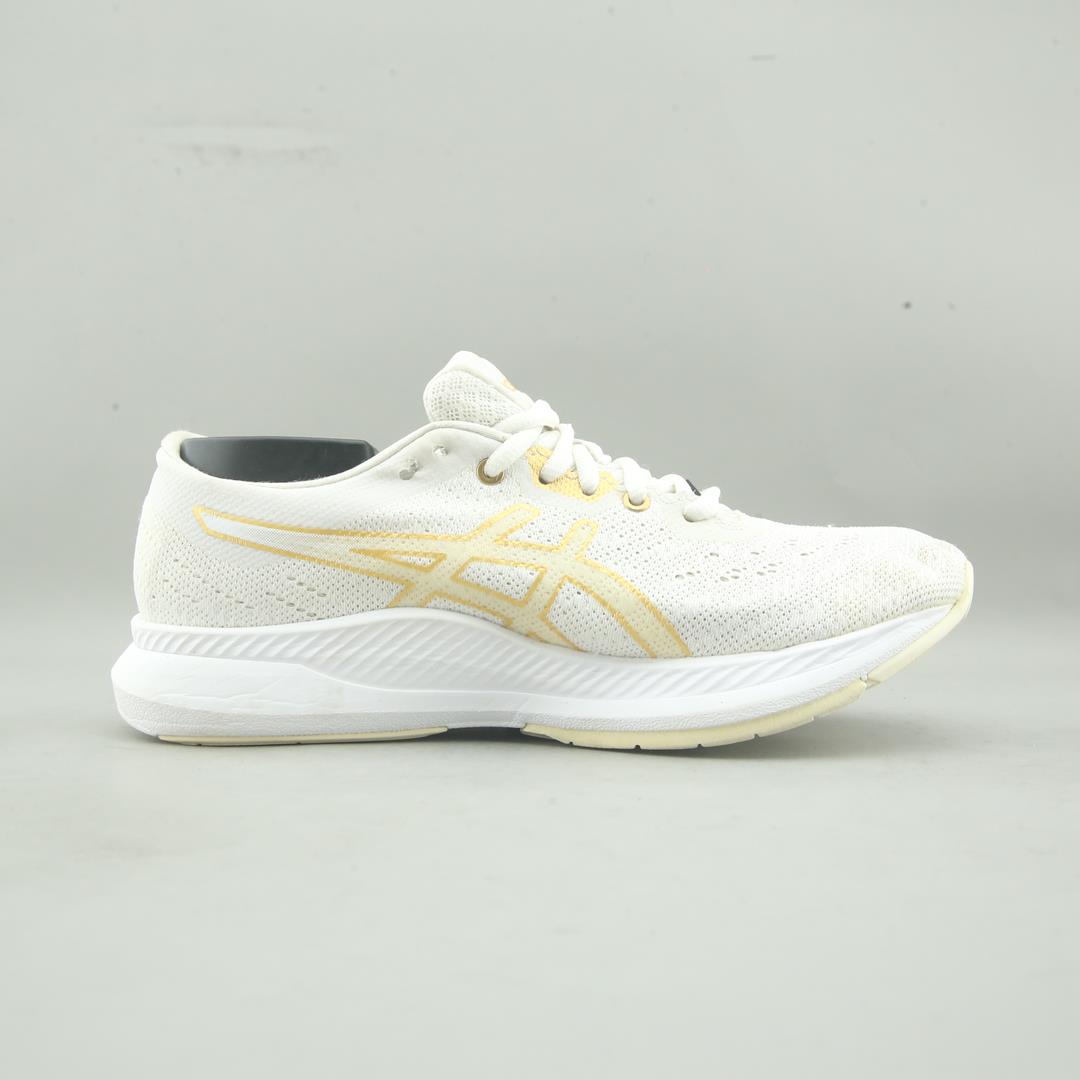Asics Evoride