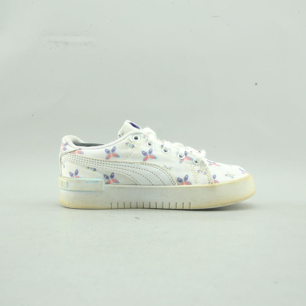 Puma Summits