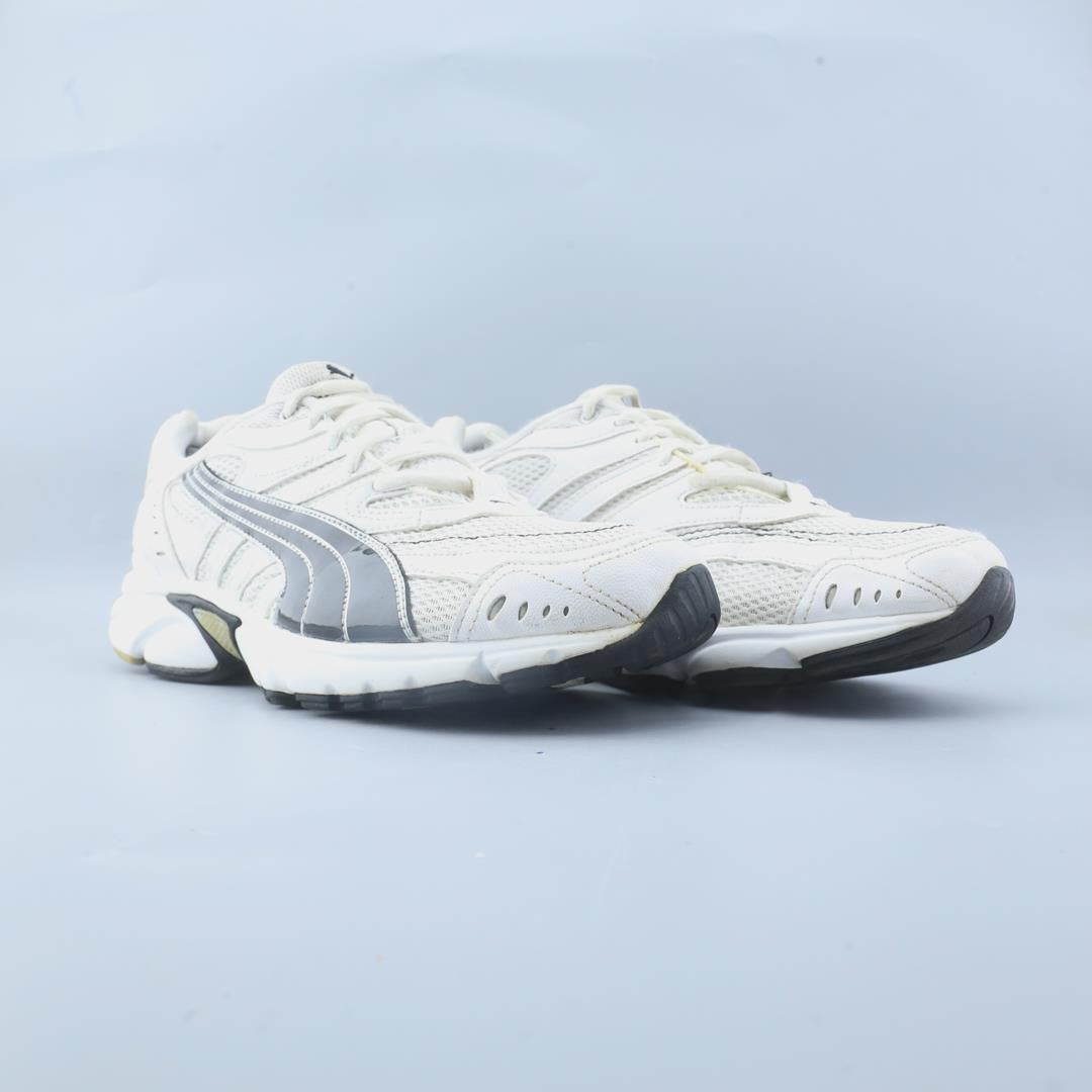 Puma Hahmer