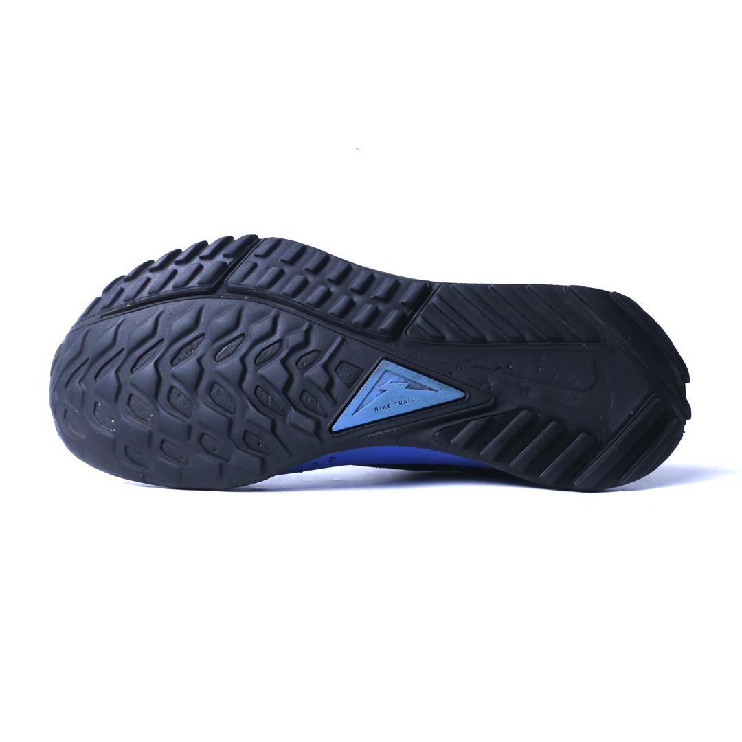 Nike Pegasus Trail 4 Gore-Tex