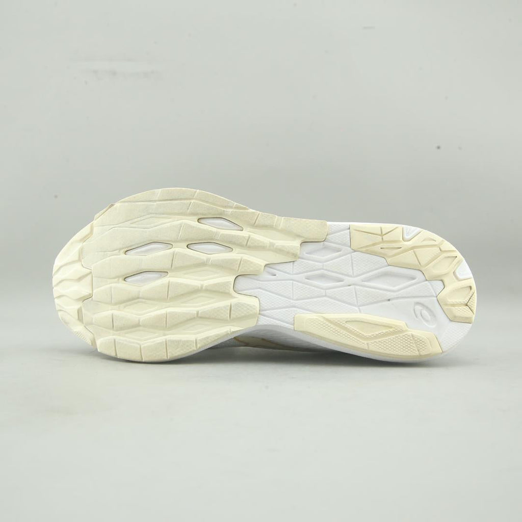 Asics Evoride