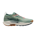 Nike React Pegasus Trail 5 Gore-Tex Jade Horizon