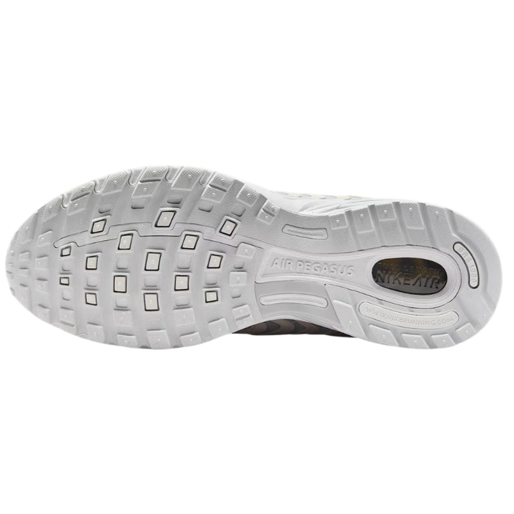 Nike Air Pegasus 2005 Se Platnium Tint