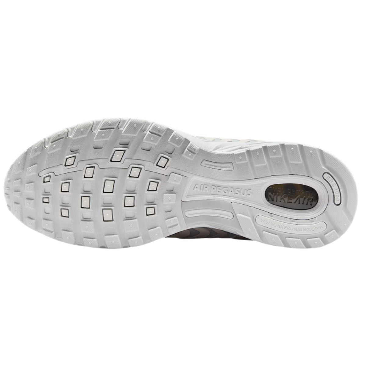 Nike Air Pegasus 2005 Se Platnium Tint