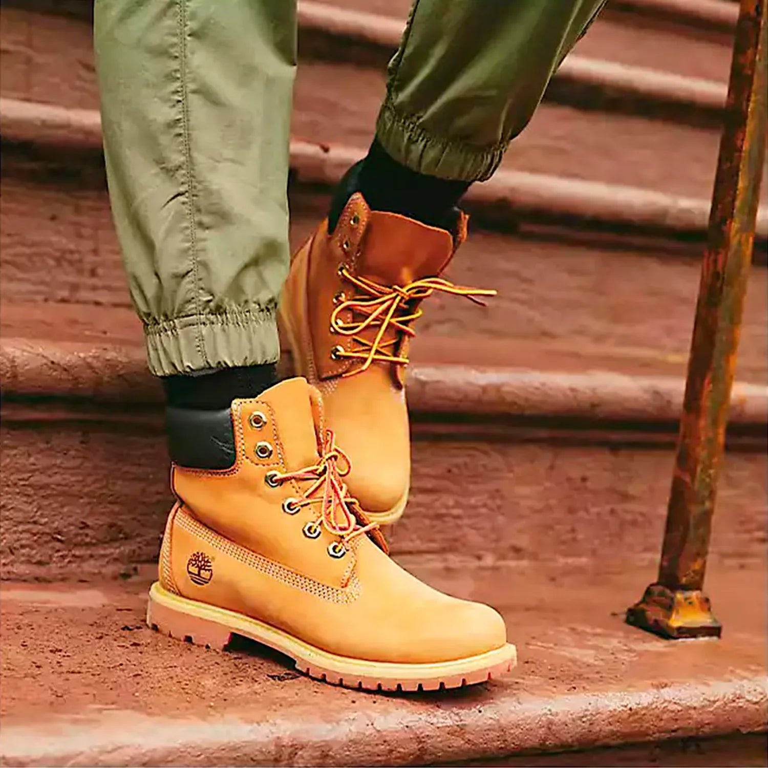 Women's Timberland® Premium 6-Inch Lace-Up Waterproof Boot