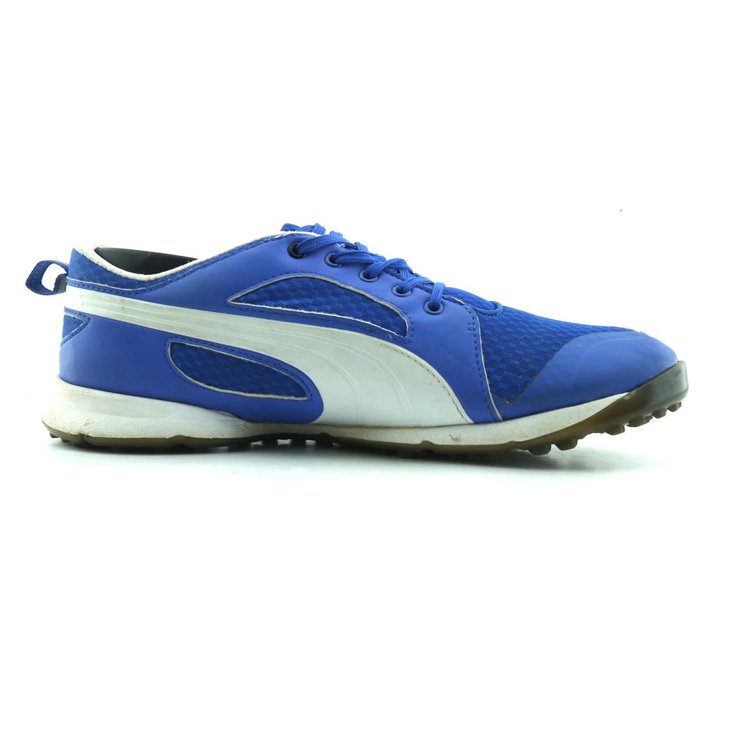 Puma Everfoam