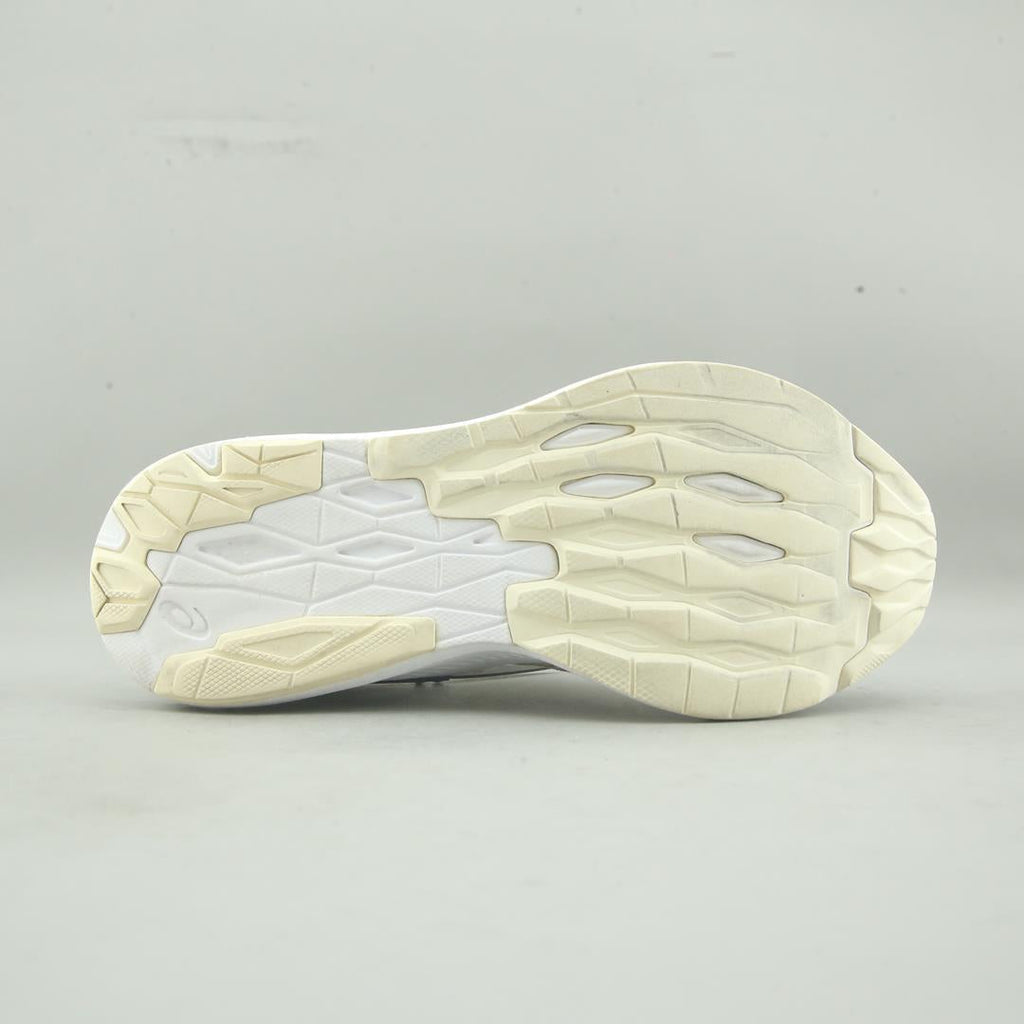Asics Evoride
