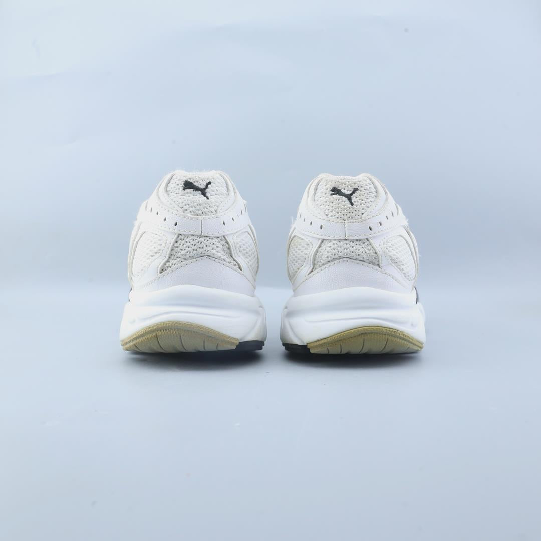 Puma Hahmer
