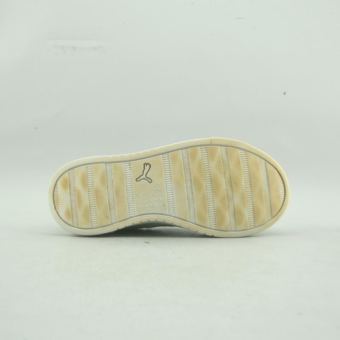 Puma Summits