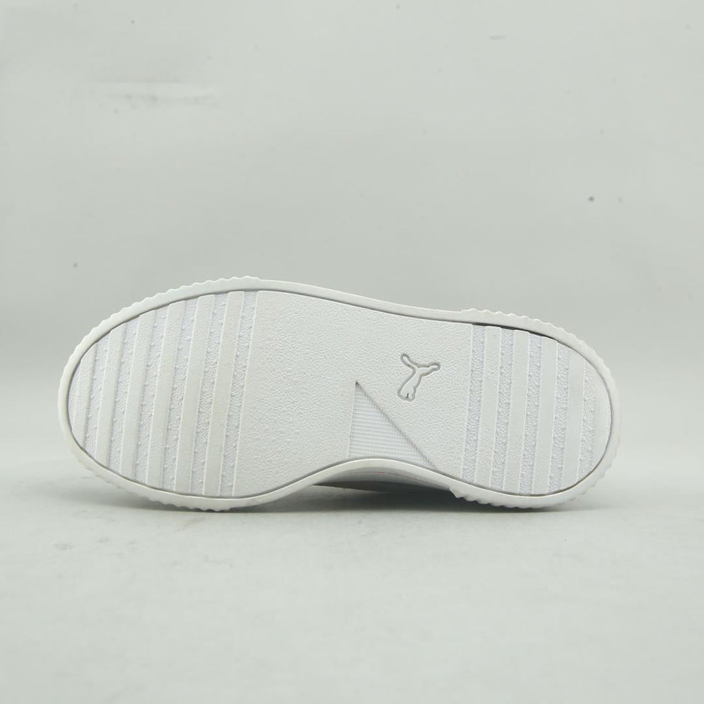 Puma Carina L