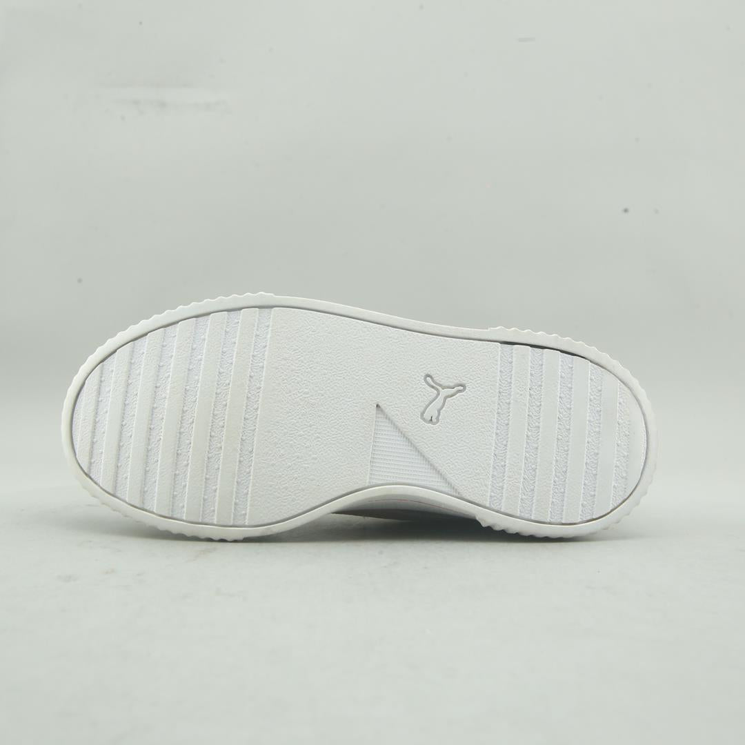 Puma Carina L