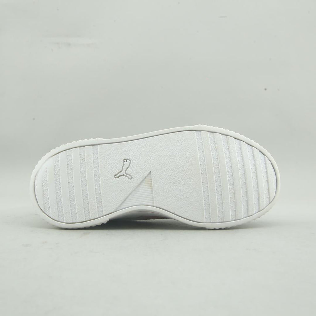 Puma Carina L