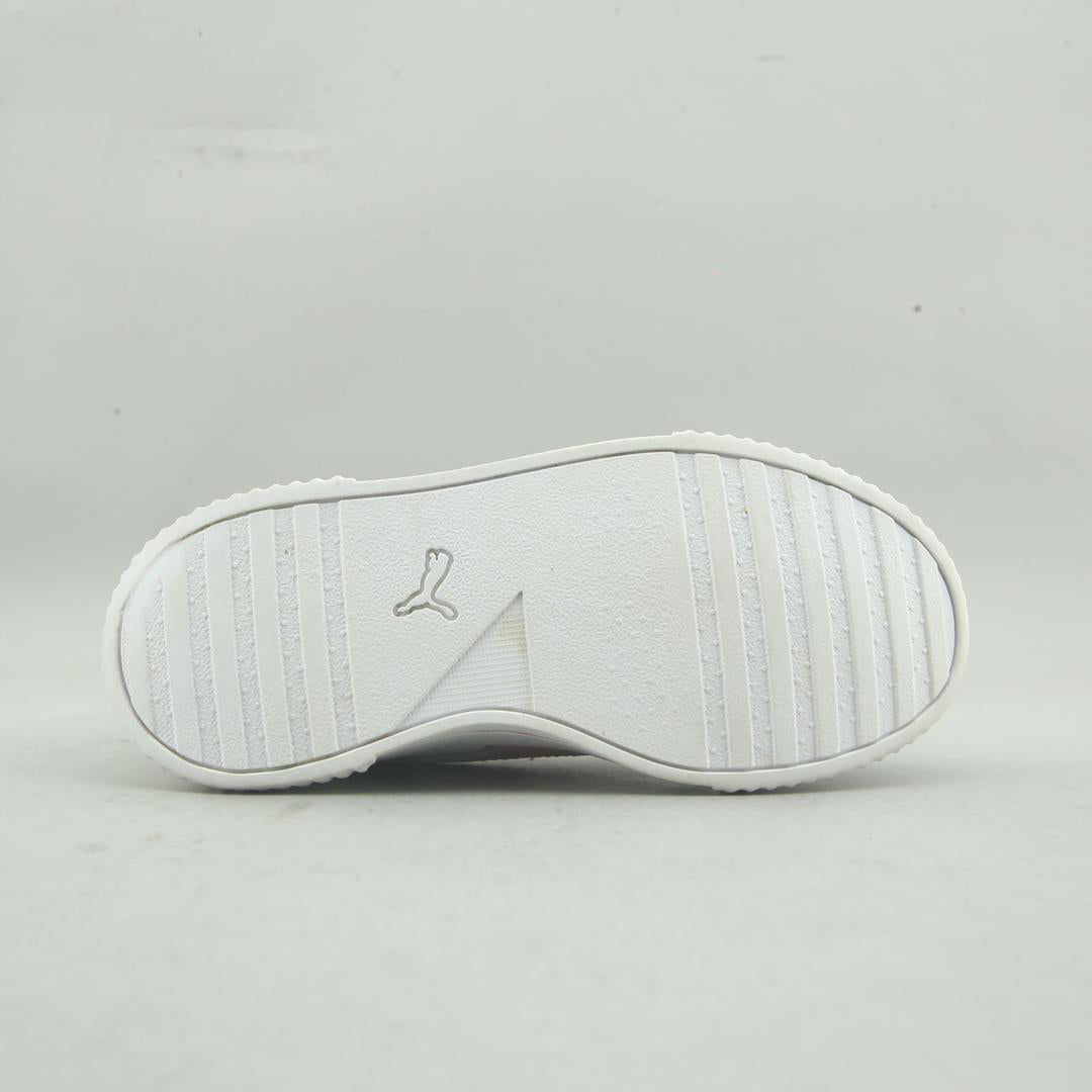 Puma Carina L