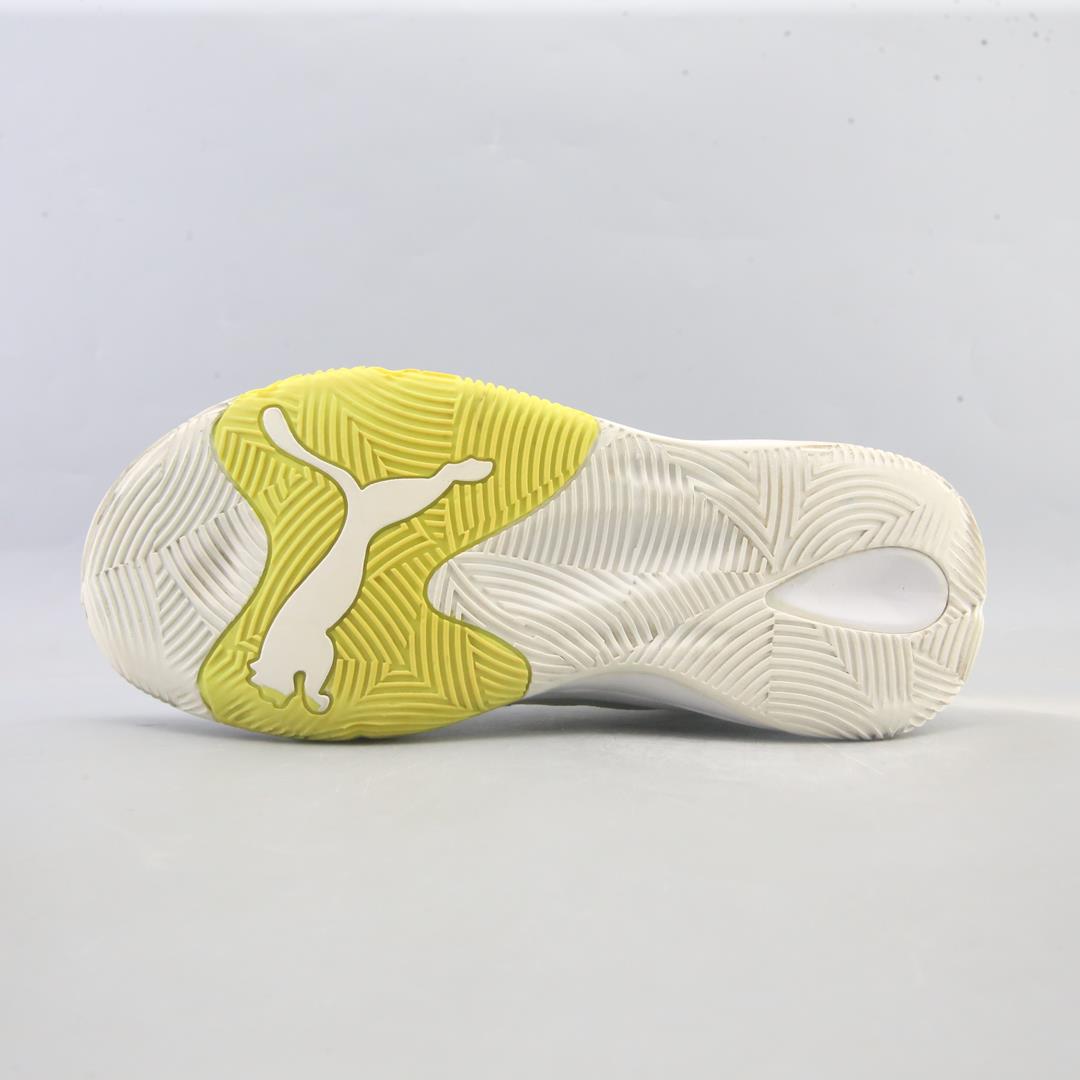 Puma Ebound Future Evo