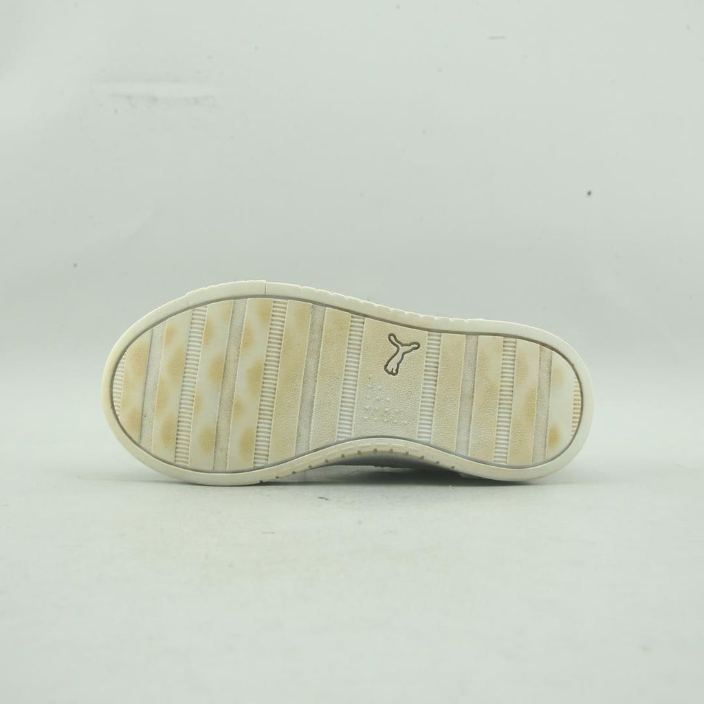 Puma Summits