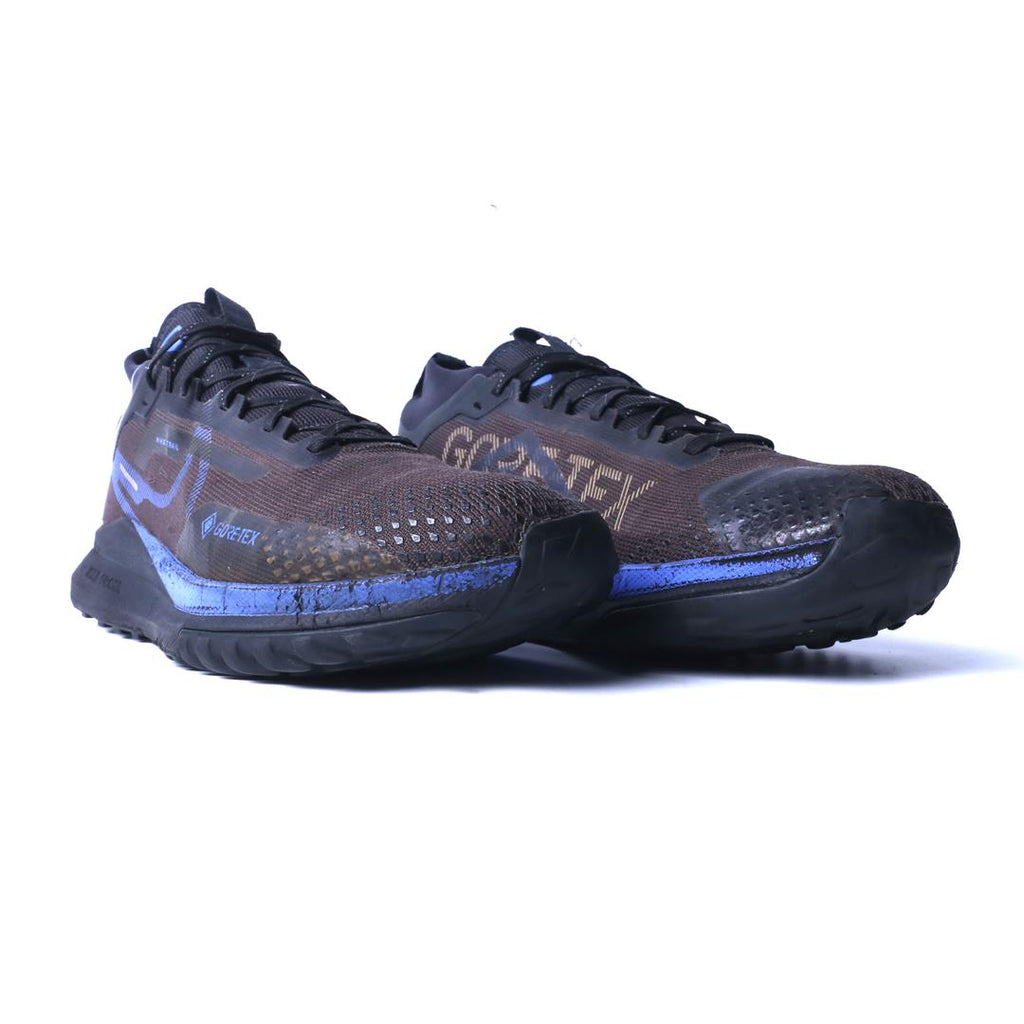 Nike Pegasus Trail 4 Gore-Tex