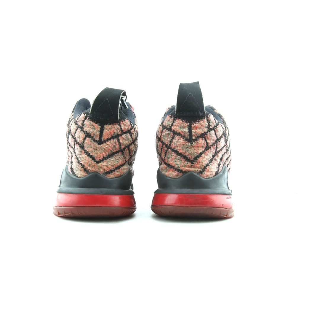 Nike Lebron 17