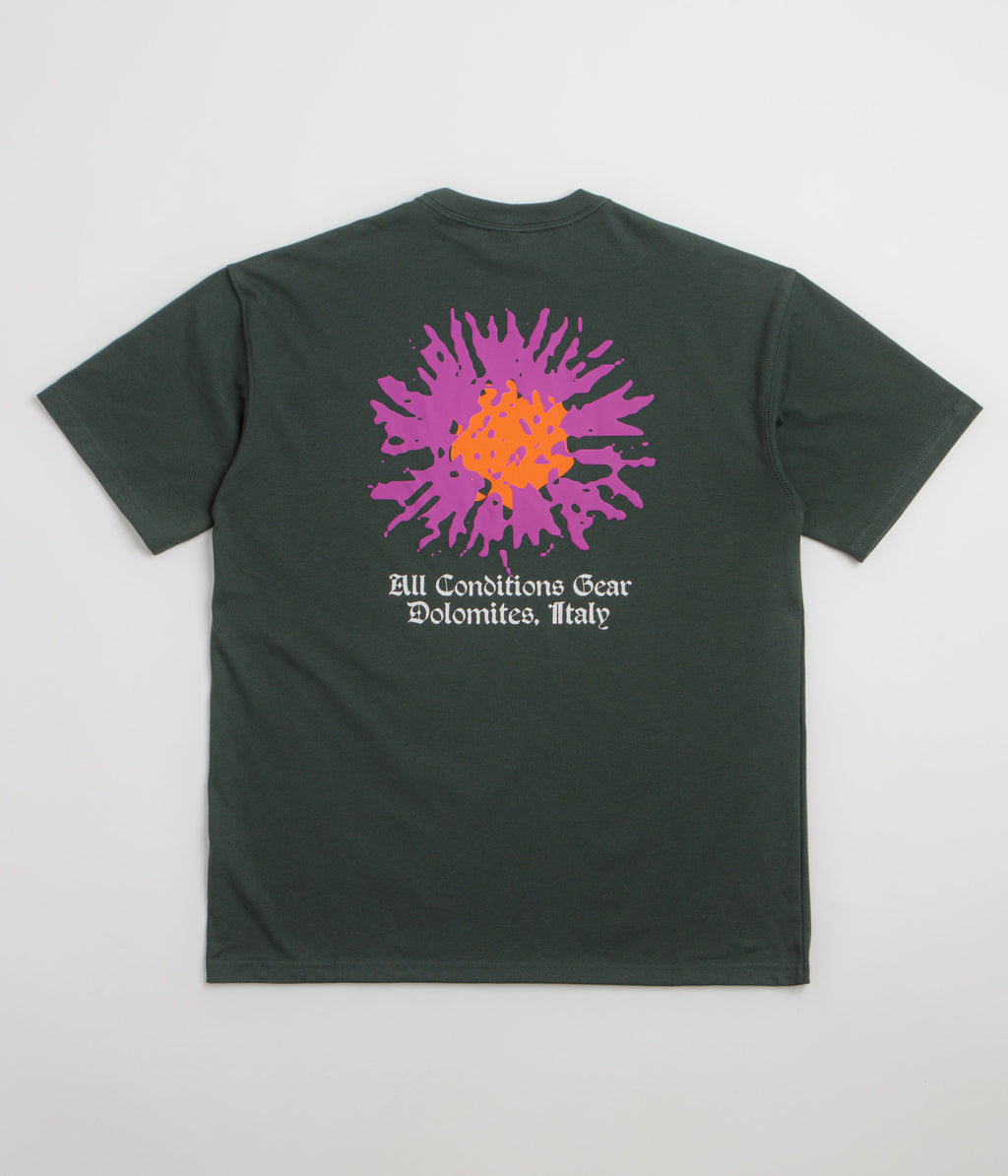Nike ACG Meadows T-Shirt - Black Spruce