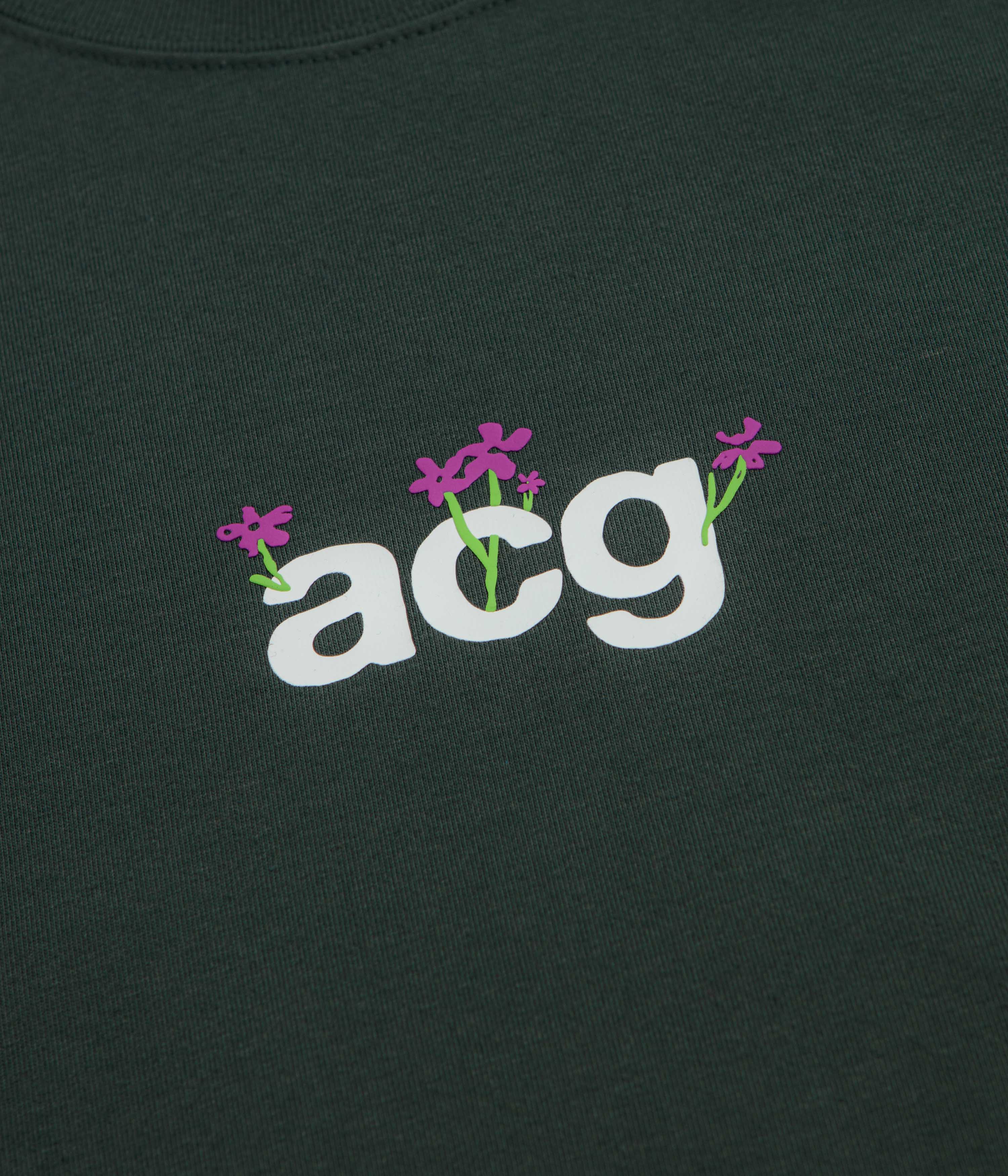 Nike ACG Meadows T-Shirt - Black Spruce