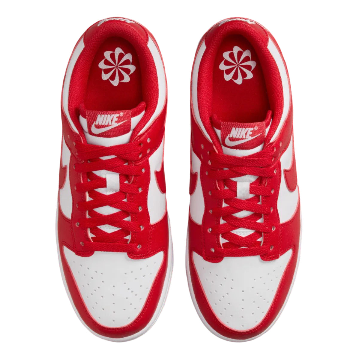 Nike Dunk Low Next Nature St. John'S (W)